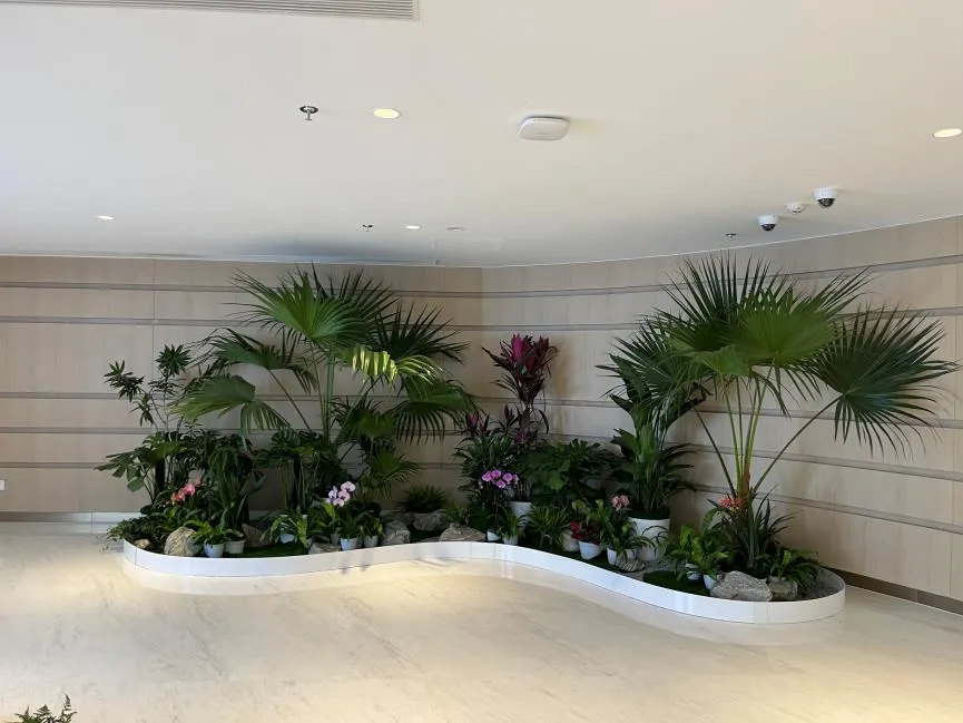 镇海花卉出租方案